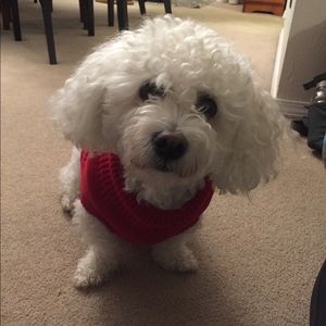 Meet your Posher, Ilene